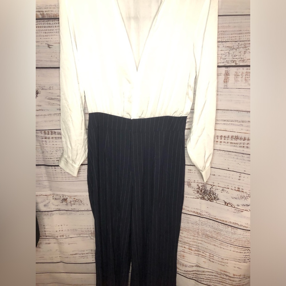 Blue and White Pinstripe Jumpsuit - Picture 3 of 16